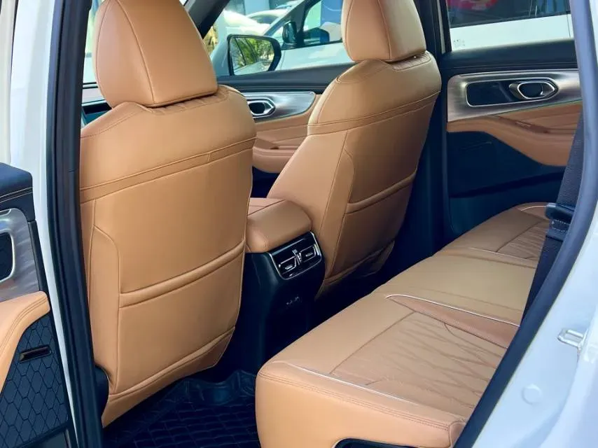 2025 GAC Trumpchi GS8 2.0T 252HP L4 8AT,autocango,china used car exporter,china ev exporter,chinese used car exporter,chinese used ev exporter