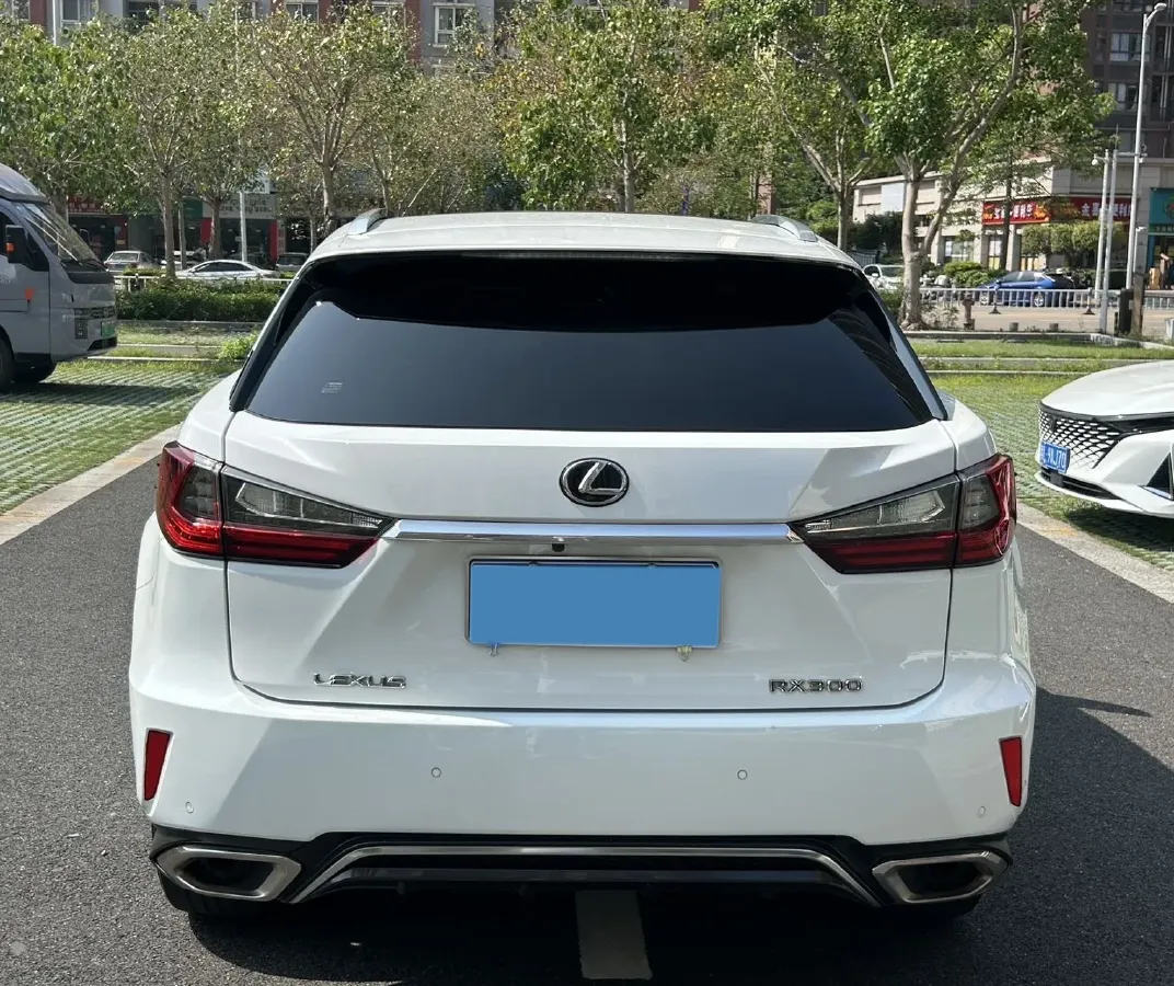 2017 Lexus RX 2.0T 238HP L4 6AT,autocango,china used car exporter,china ev exporter,chinese used car exporter,chinese used ev exporter