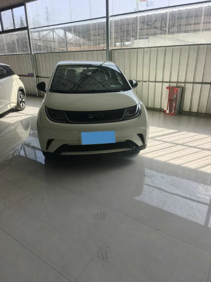 2025 BYD Dolphin BEV 44.928KWH,autocango,china used car exporter,china ev exporter,chinese used car exporter,chinese used ev exporter