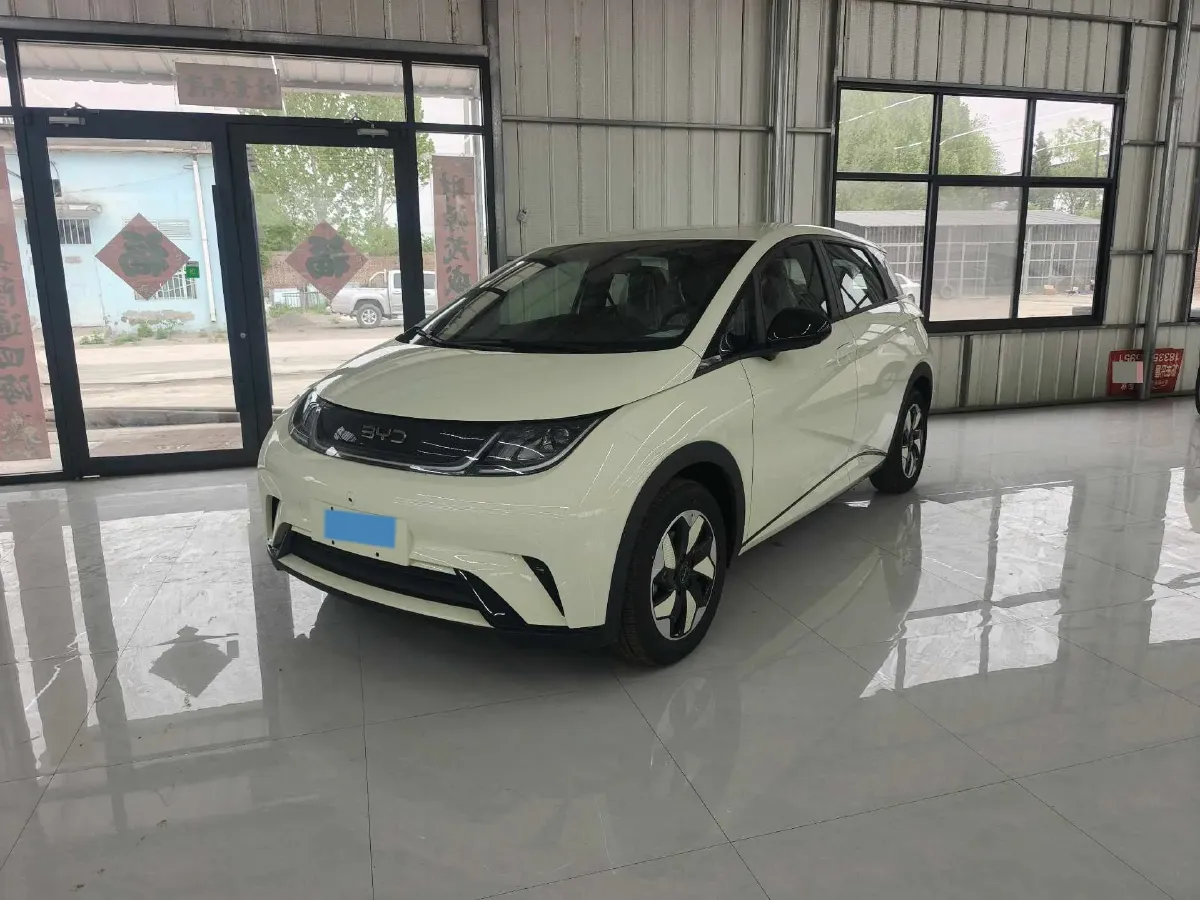 2025 BYD Dolphin BEV 44.928KWH,autocango,china used car exporter,china ev exporter,chinese used car exporter,chinese used ev exporter