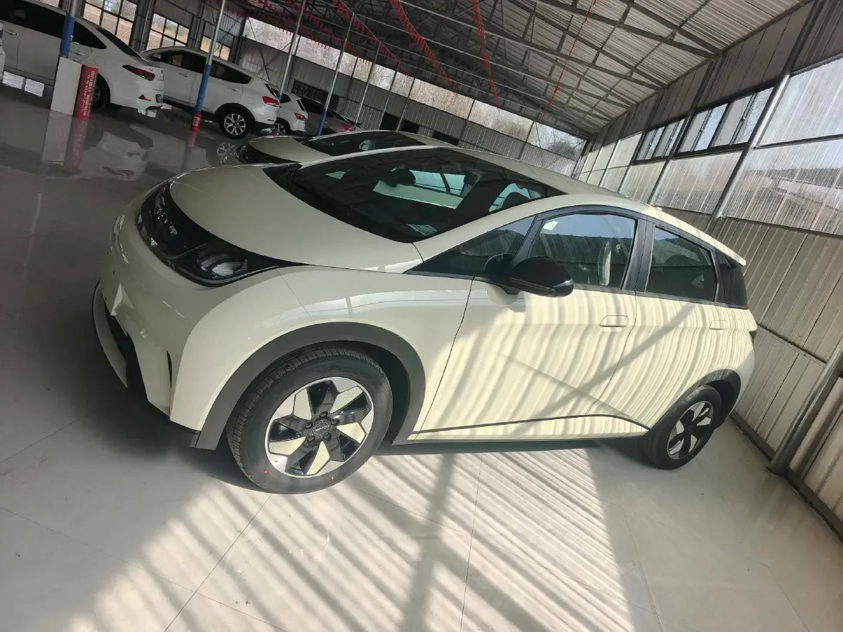 2025 BYD Dolphin BEV 44.928KWH,autocango,china used car exporter,china ev exporter,chinese used car exporter,chinese used ev exporter
