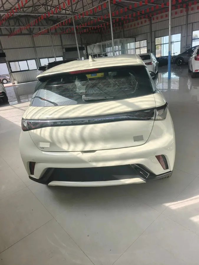 2025 BYD Dolphin BEV 44.928KWH,autocango,china used car exporter,china ev exporter,chinese used car exporter,chinese used ev exporter