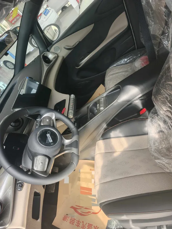 2025 BYD Dolphin BEV 44.928KWH,autocango,china used car exporter,china ev exporter,chinese used car exporter,chinese used ev exporter