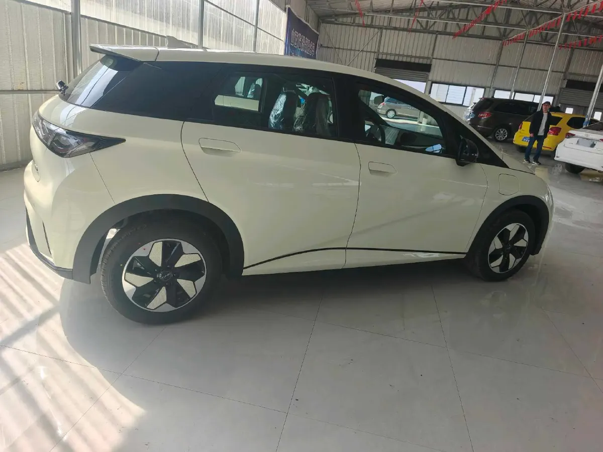 2025 BYD Dolphin BEV 44.928KWH,autocango,china used car exporter,china ev exporter,chinese used car exporter,chinese used ev exporter