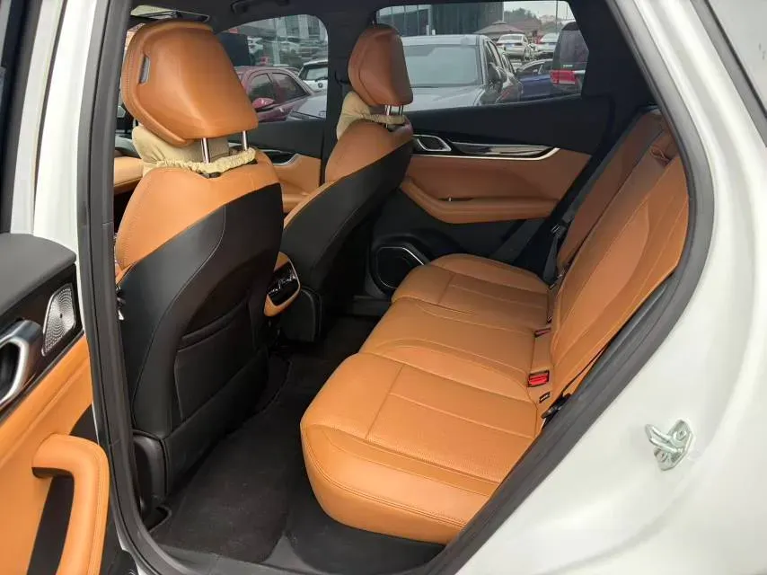 2025 Geely StarRay 1.5T 181HP L4 7DCT,autocango,china used car exporter,china ev exporter,chinese used car exporter,chinese used ev exporter