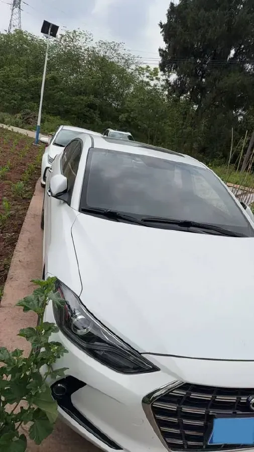 2019 Hyundai Elantra 1.4T 130HP L4 7DCT,autocango,china used car exporter,china ev exporter,chinese used car exporter,chinese used ev exporter