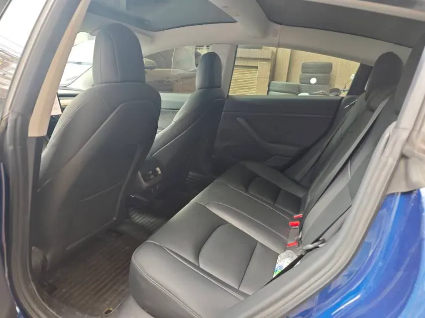 2021 Tesla Model 3 BEV 55KWH,autocango,china used car exporter,china ev exporter,chinese used car exporter,chinese used ev exporter