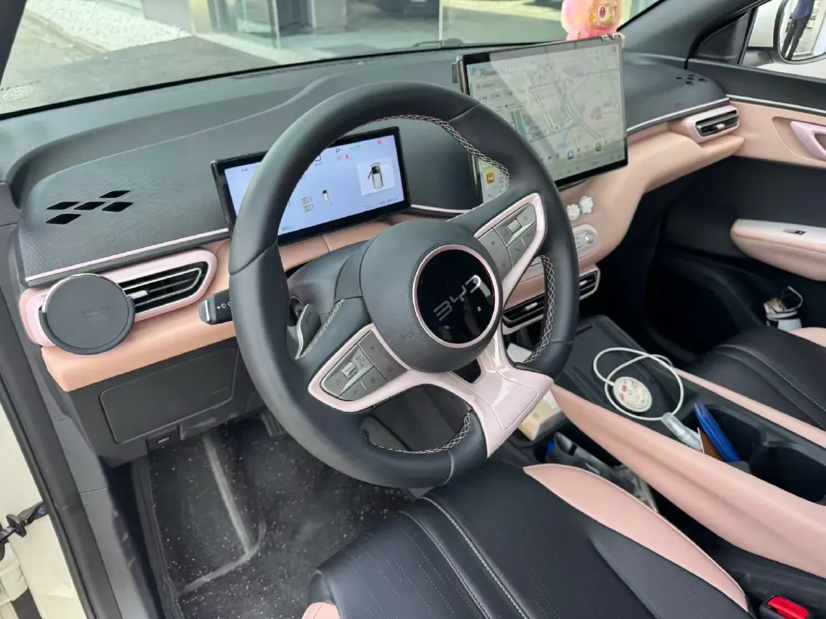 2025 BYD Seagull BEV 38.88KWH,autocango,china used car exporter,china ev exporter,chinese used car exporter,chinese used ev exporter