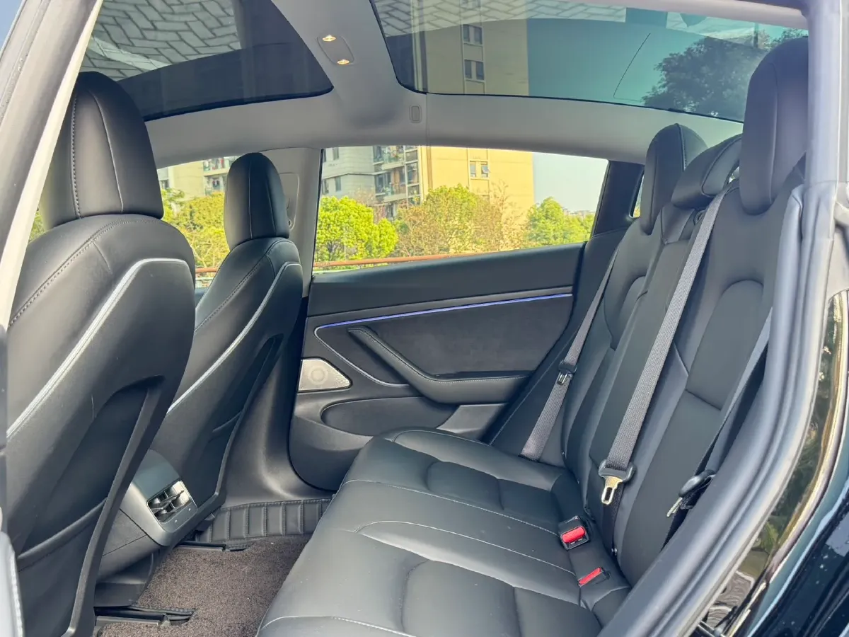 2020 Tesla Model 3 BEV 55KWH,autocango,china used car exporter,china ev exporter,chinese used car exporter,chinese used ev exporter