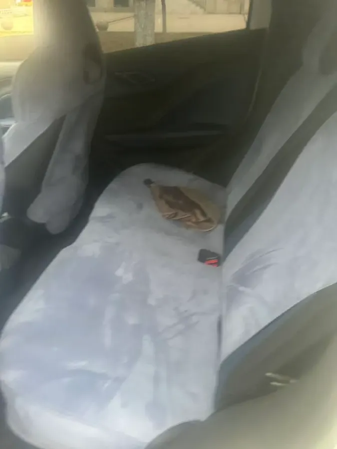 2025 BYD Seagull BEV 30.08KWH,autocango,china used car exporter,china ev exporter,chinese used car exporter,chinese used ev exporter