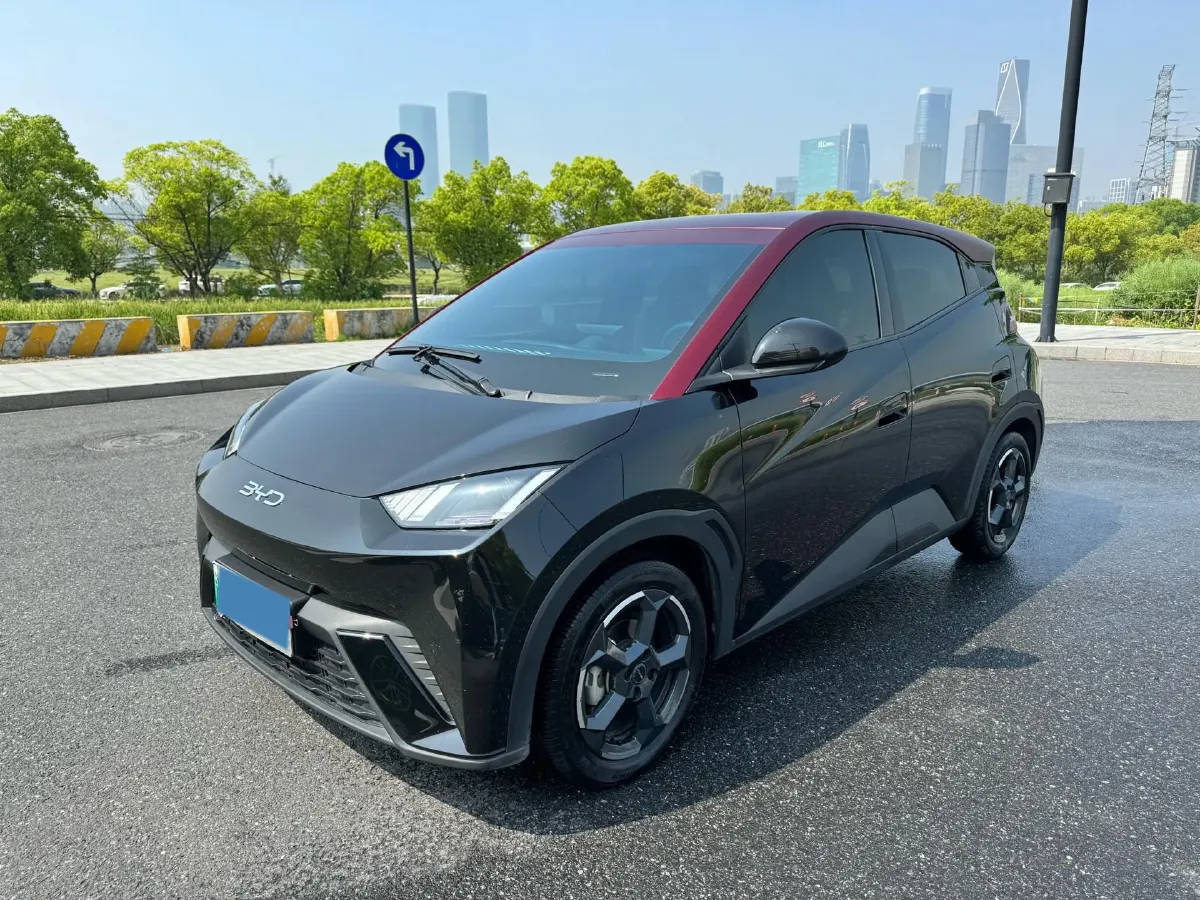 2024 BYD Seagull BEV 30.08KWH,autocango,china used car exporter,china ev exporter,chinese used car exporter,chinese used ev exporter