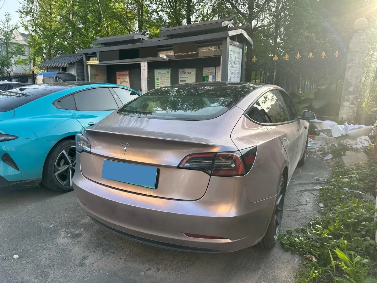 2021 Tesla Model 3 BEV 55KWH,autocango,china used car exporter,china ev exporter,chinese used car exporter,chinese used ev exporter