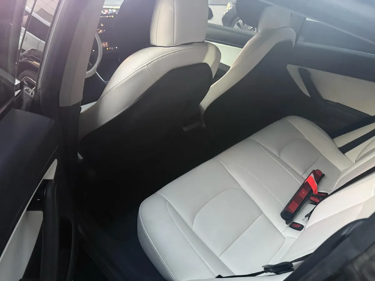 2020 Tesla Model 3 BEV 76.8KWH,autocango,china used car exporter,china ev exporter,chinese used car exporter,chinese used ev exporter