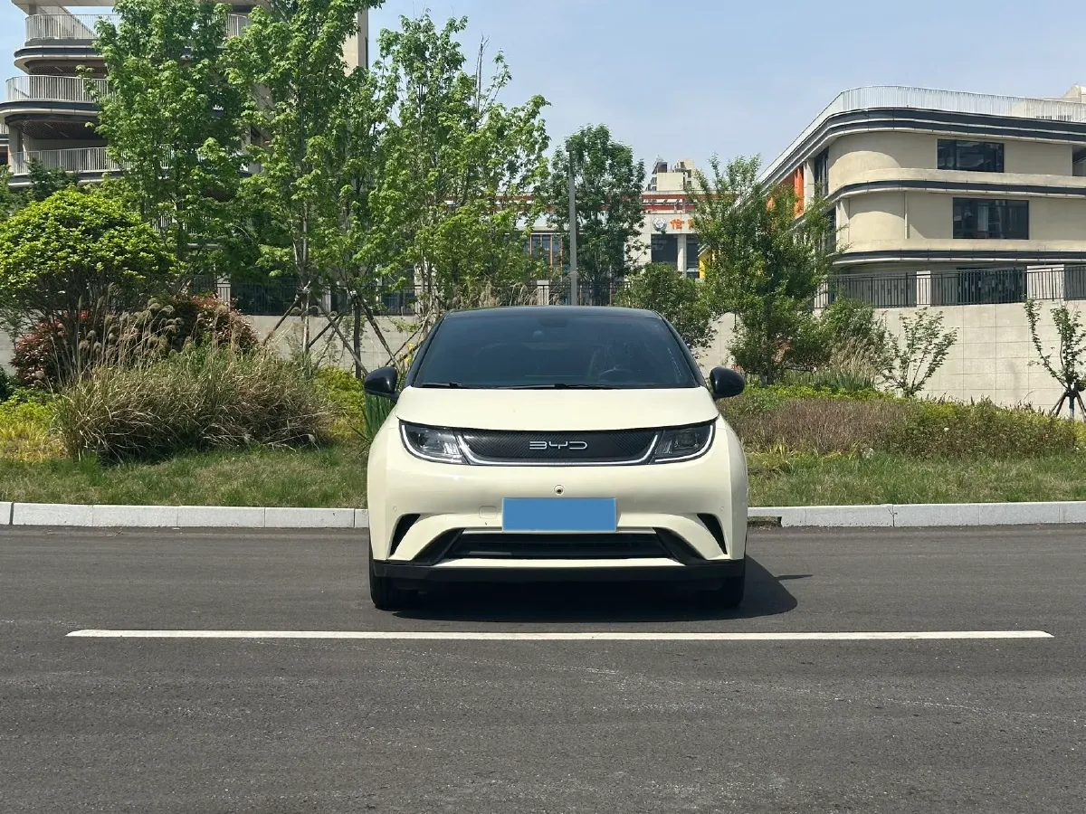 2023 BYD Dolphin BEV 44.928KWH,autocango,china used car exporter,china ev exporter,chinese used car exporter,chinese used ev exporter