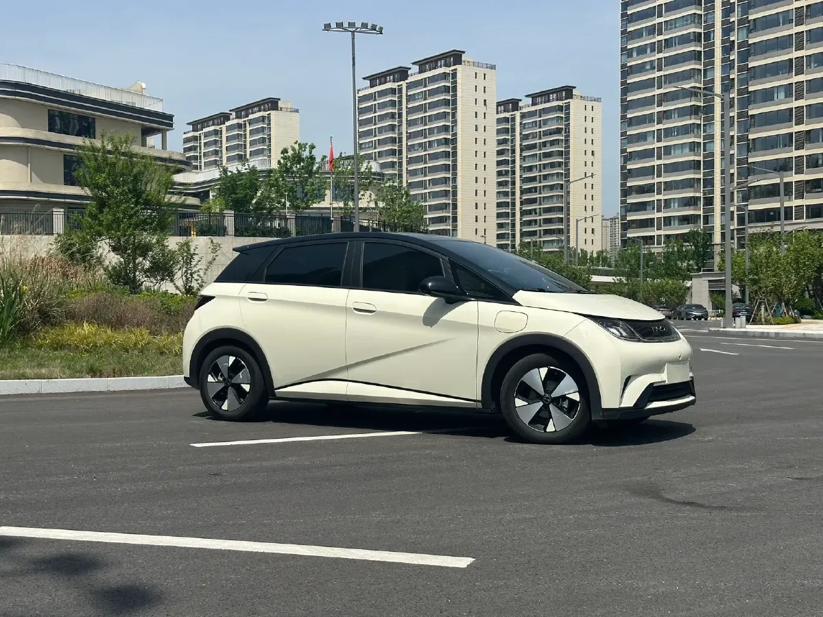2023 BYD Dolphin BEV 44.928KWH,autocango,china used car exporter,china ev exporter,chinese used car exporter,chinese used ev exporter