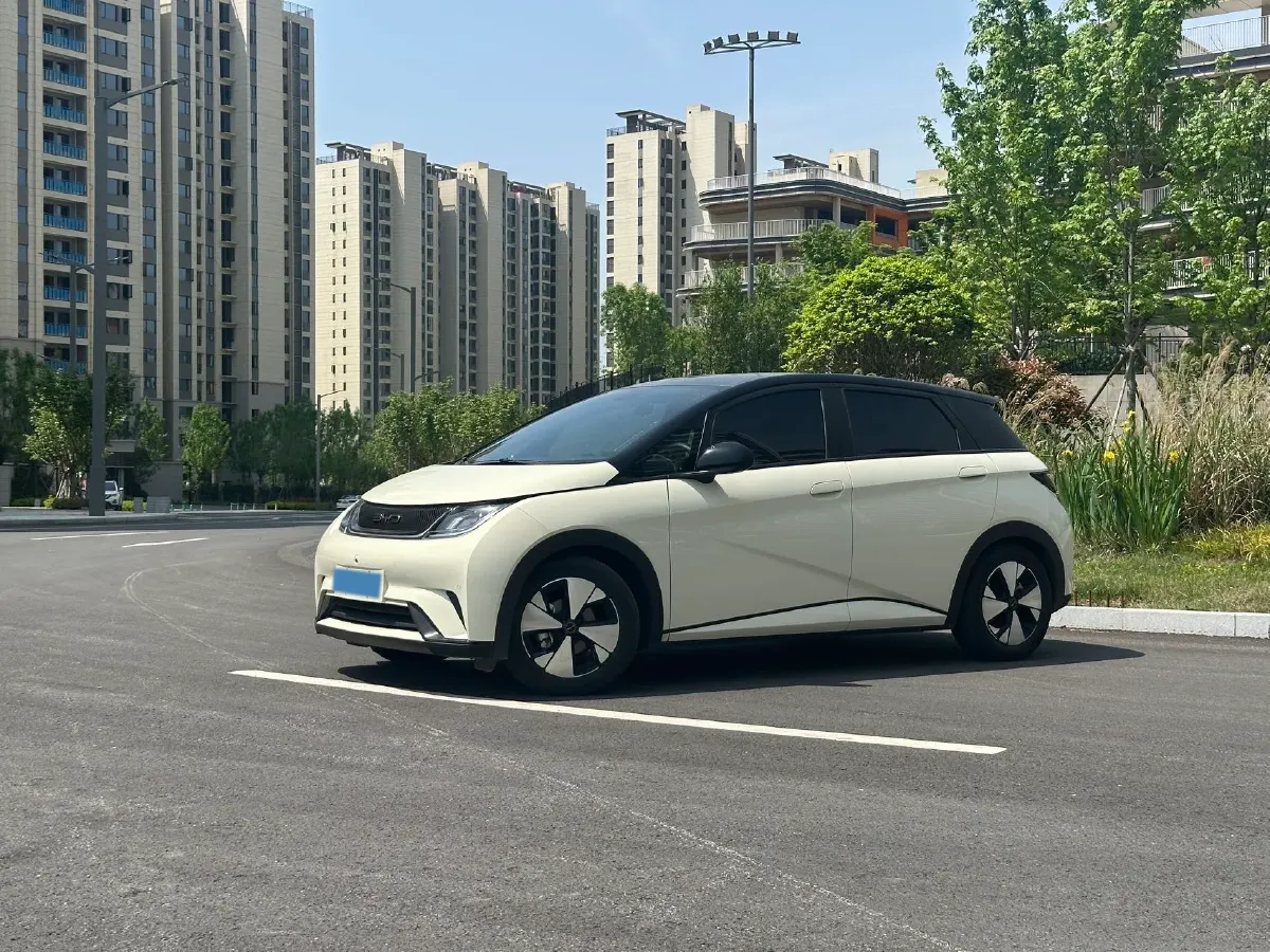 2023 BYD Dolphin BEV 44.928KWH,autocango,china used car exporter,china ev exporter,chinese used car exporter,chinese used ev exporter