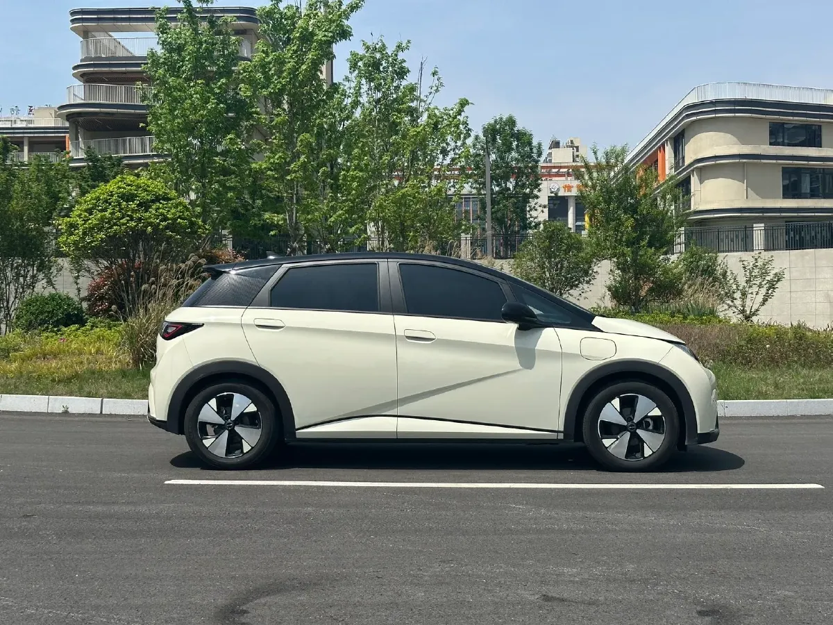 2023 BYD Dolphin BEV 44.928KWH,autocango,china used car exporter,china ev exporter,chinese used car exporter,chinese used ev exporter