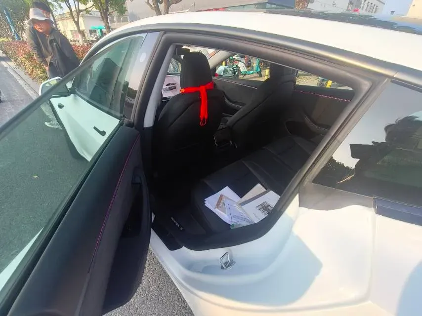 2025 Tesla Model 3 BEV,autocango,china used car exporter,china ev exporter,chinese used car exporter,chinese used ev exporter