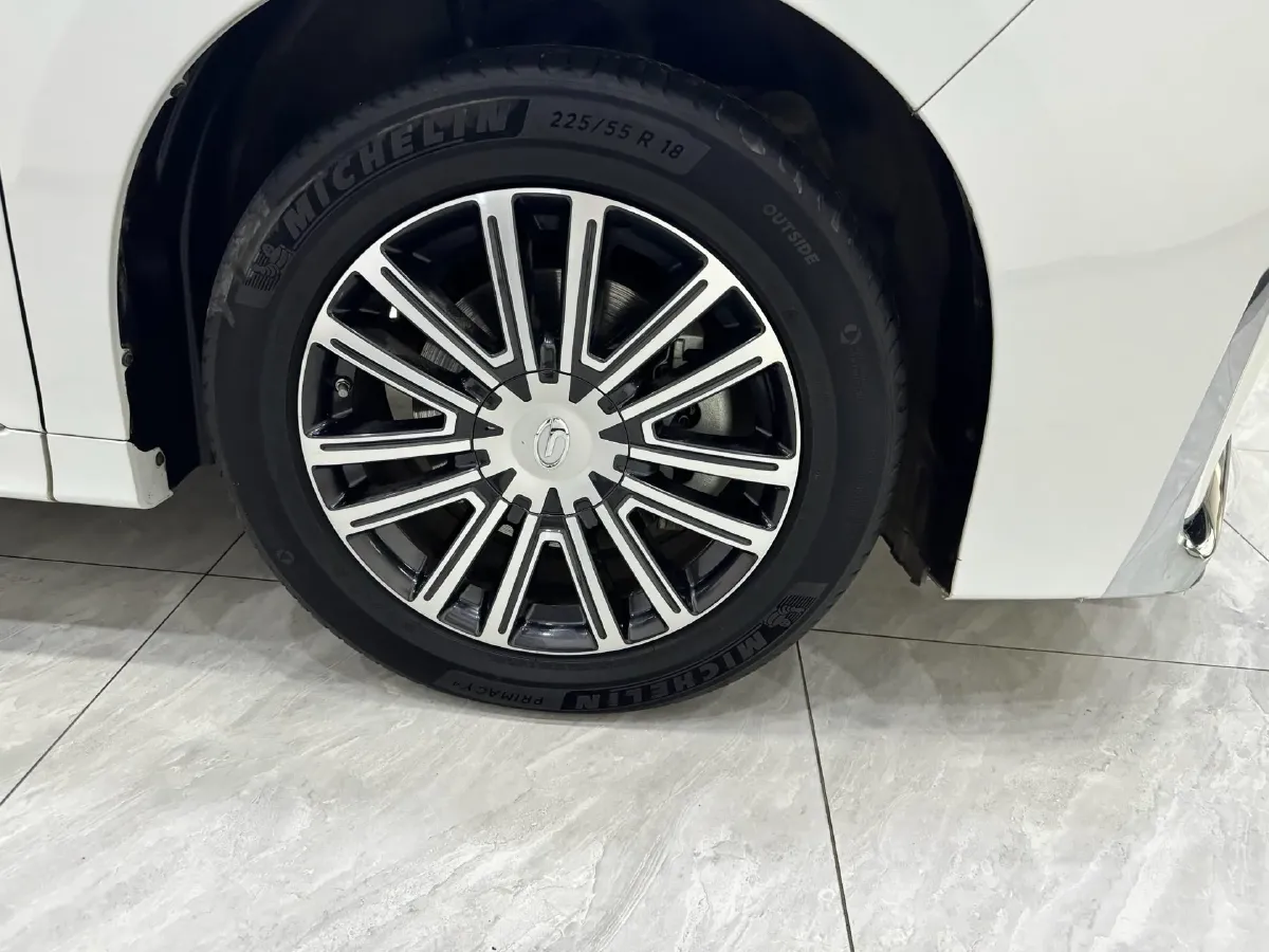 2023 GAC Trumpchi M8 2.0T 252HP L4 8AT,autocango,china used car exporter,china ev exporter,chinese used car exporter,chinese used ev exporter