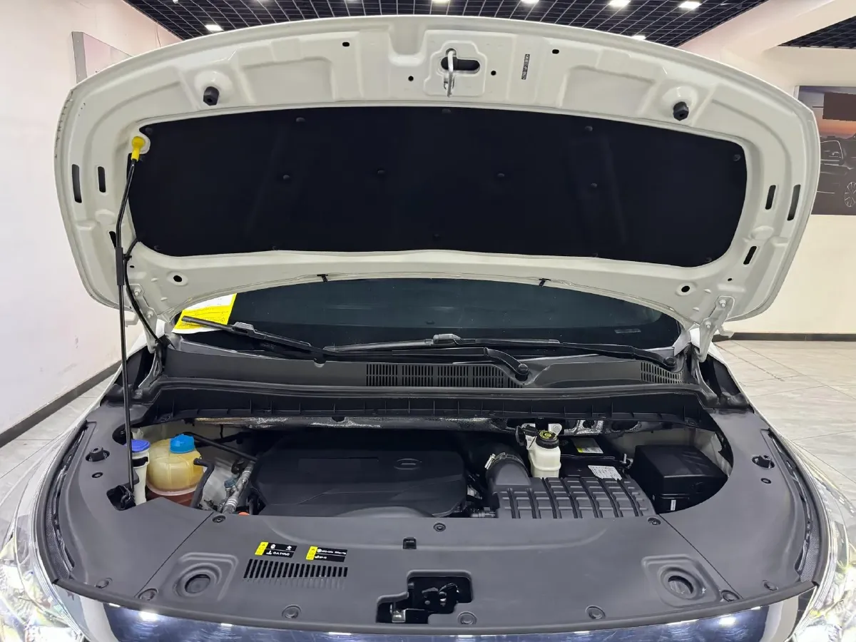 2023 GAC Trumpchi M8 2.0T 252HP L4 8AT,autocango,china used car exporter,china ev exporter,chinese used car exporter,chinese used ev exporter