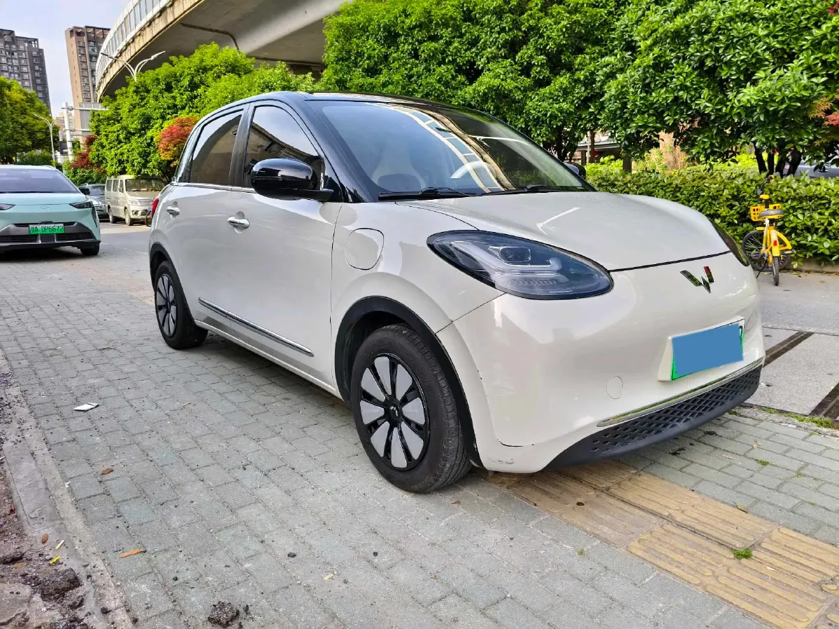 2023 WuLing BinGuo BEV 31.9KWH,autocango,china used car exporter,china ev exporter,chinese used car exporter,chinese used ev exporter