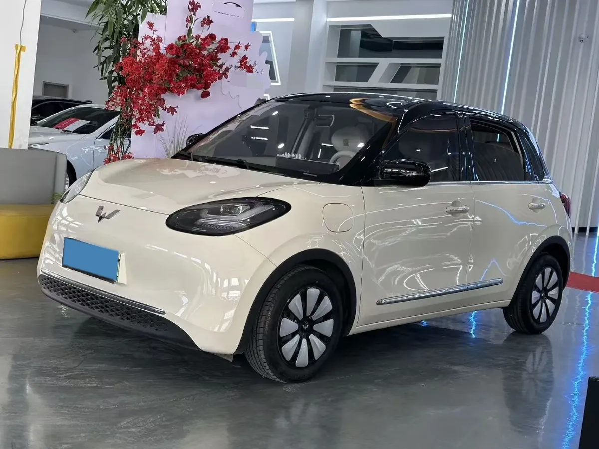 2025 WuLing BinGuo BEV,autocango,china used car exporter,china ev exporter,chinese used car exporter,chinese used ev exporter