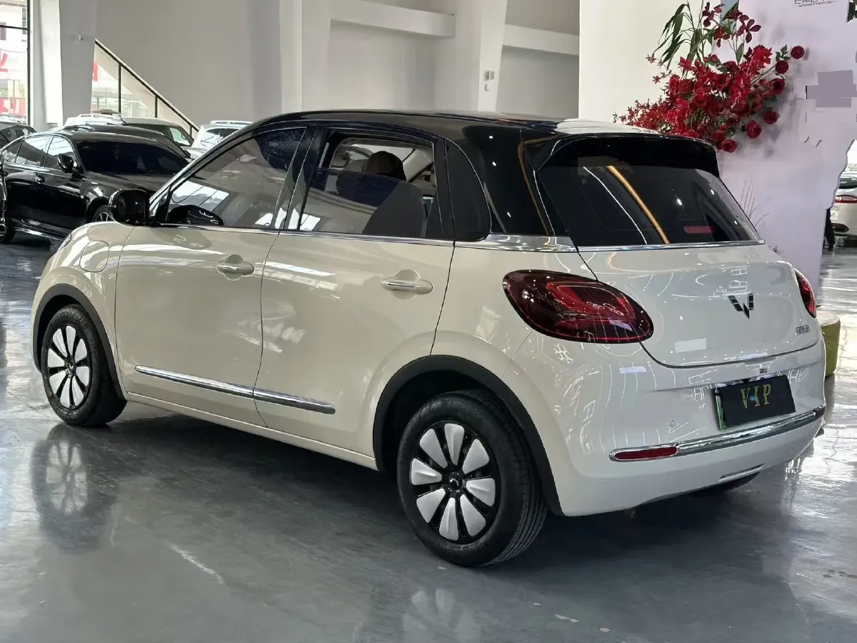 2025 WuLing BinGuo BEV,autocango,china used car exporter,china ev exporter,chinese used car exporter,chinese used ev exporter