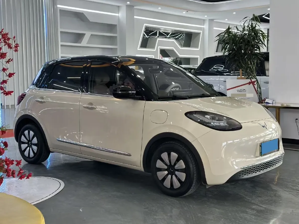 2025 WuLing BinGuo BEV,autocango,china used car exporter,china ev exporter,chinese used car exporter,chinese used ev exporter