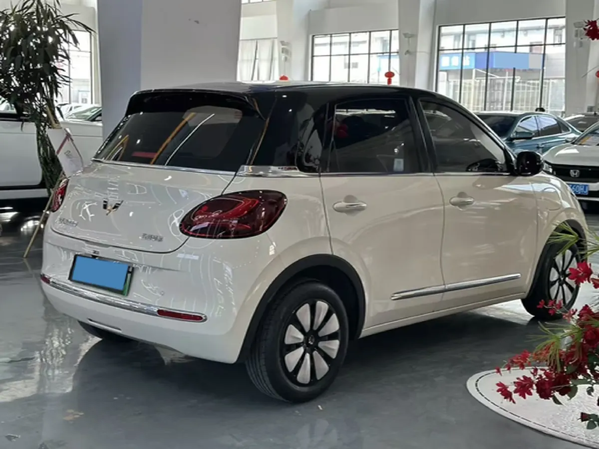 2025 WuLing BinGuo BEV,autocango,china used car exporter,china ev exporter,chinese used car exporter,chinese used ev exporter