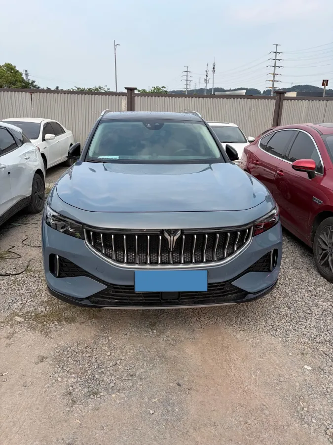 2021 Voyah FREE BEV 88KWH,autocango,china used car exporter,china ev exporter,chinese used car exporter,chinese used ev exporter