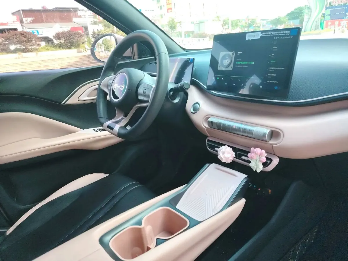 2024 BYD Seagull BEV 30.08KWH,autocango,china used car exporter,china ev exporter,chinese used car exporter,chinese used ev exporter