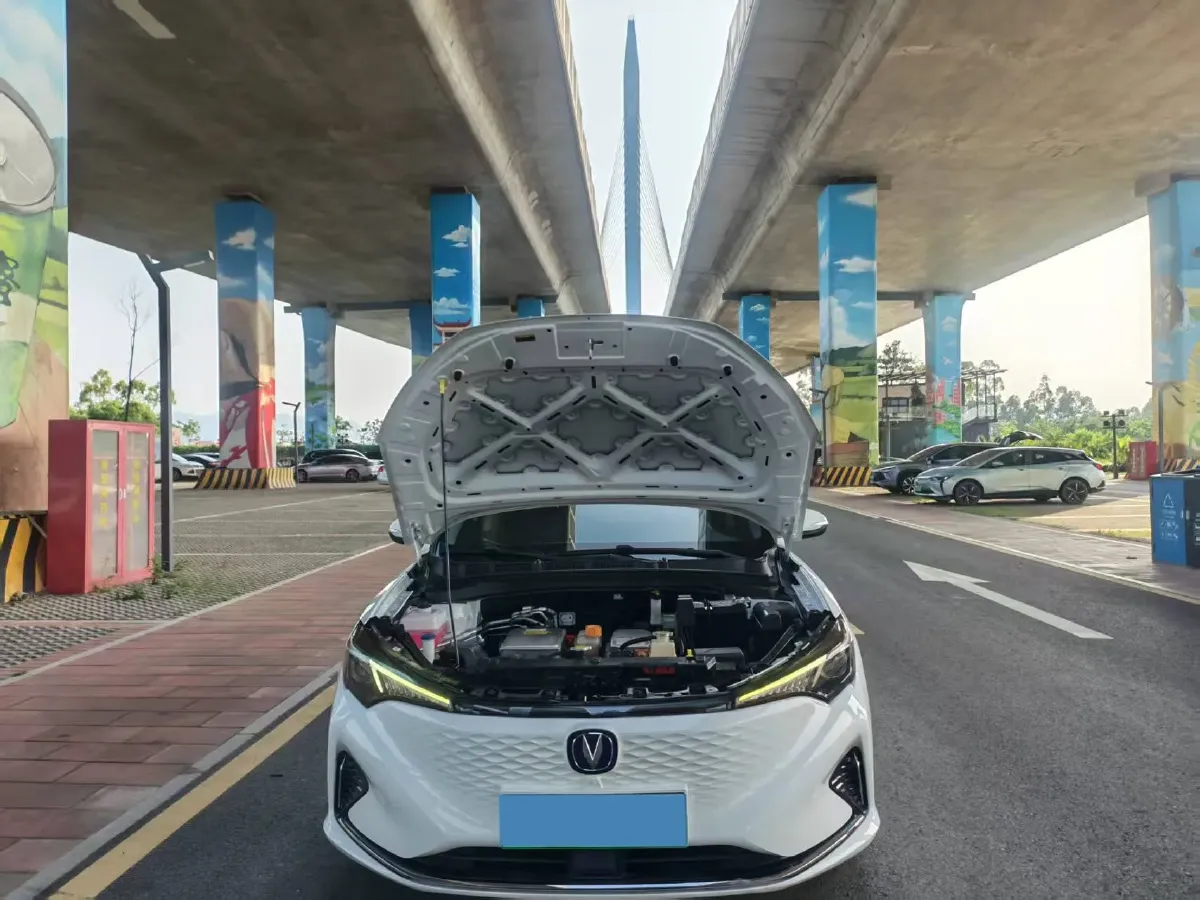 2022 ChangAn Eado BEV 47.78KWH,autocango,china used car exporter,china ev exporter,chinese used car exporter,chinese used ev exporter