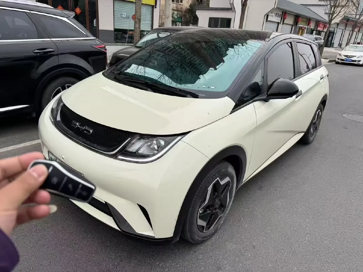 2021 BYD Yuan Pro BEV 50.1KWH,autocango,china used car exporter,china ev exporter,chinese used car exporter,chinese used ev exporter