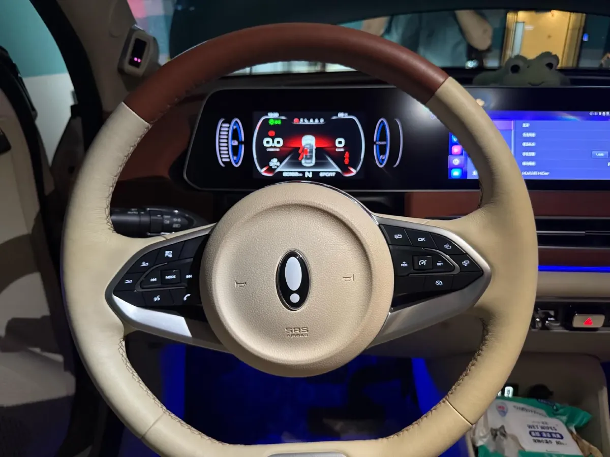 2022 Ora FunkyCat BEV 47.8KWH,autocango,china used car exporter,china ev exporter,chinese used car exporter,chinese used ev exporter