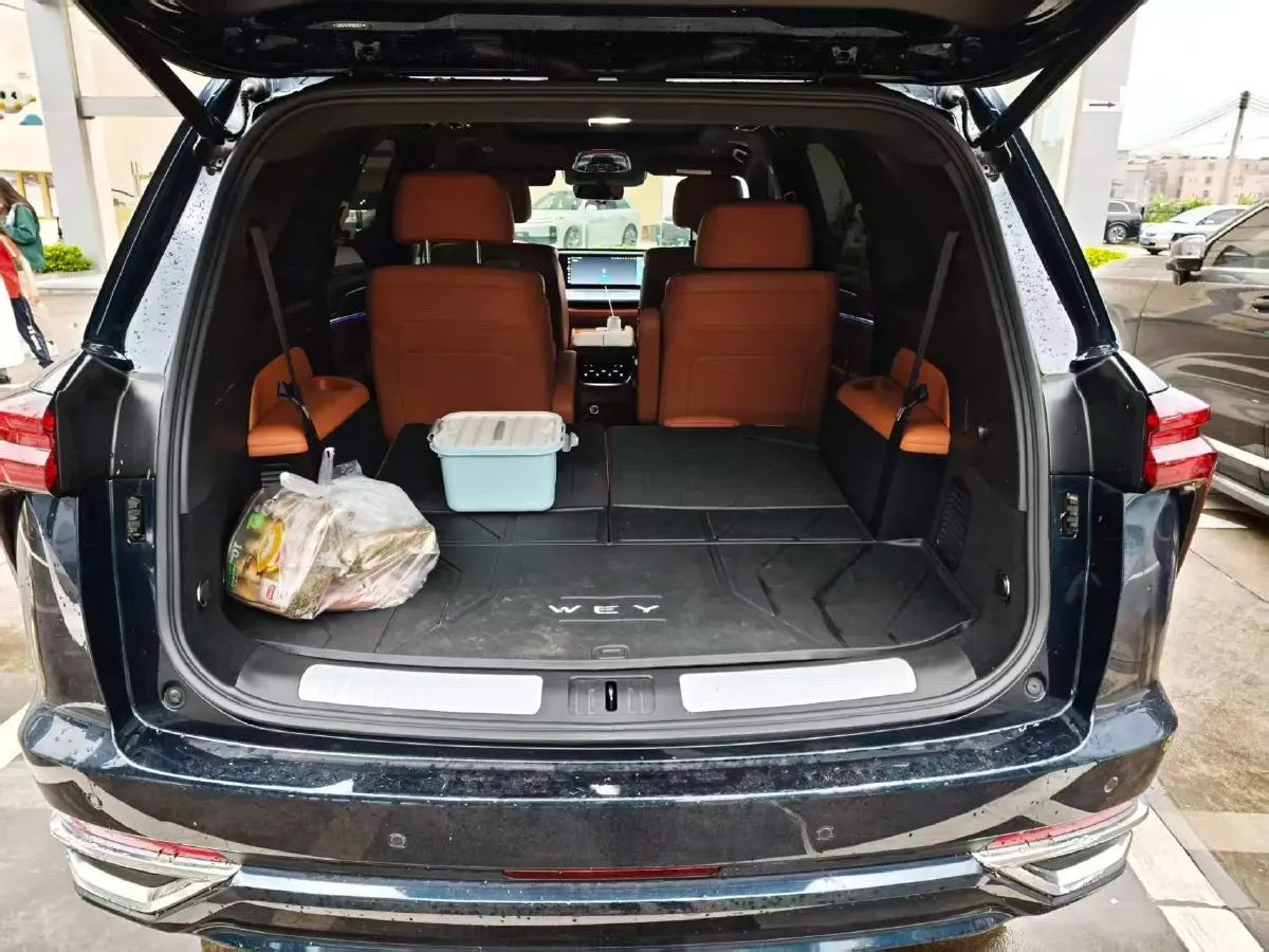 2023 WEY BlueMountain 1.5T 154HP L4 2DHT PHEV 44.5KWH,autocango,china used car exporter,china ev exporter,chinese used car exporter,chinese used ev exporter