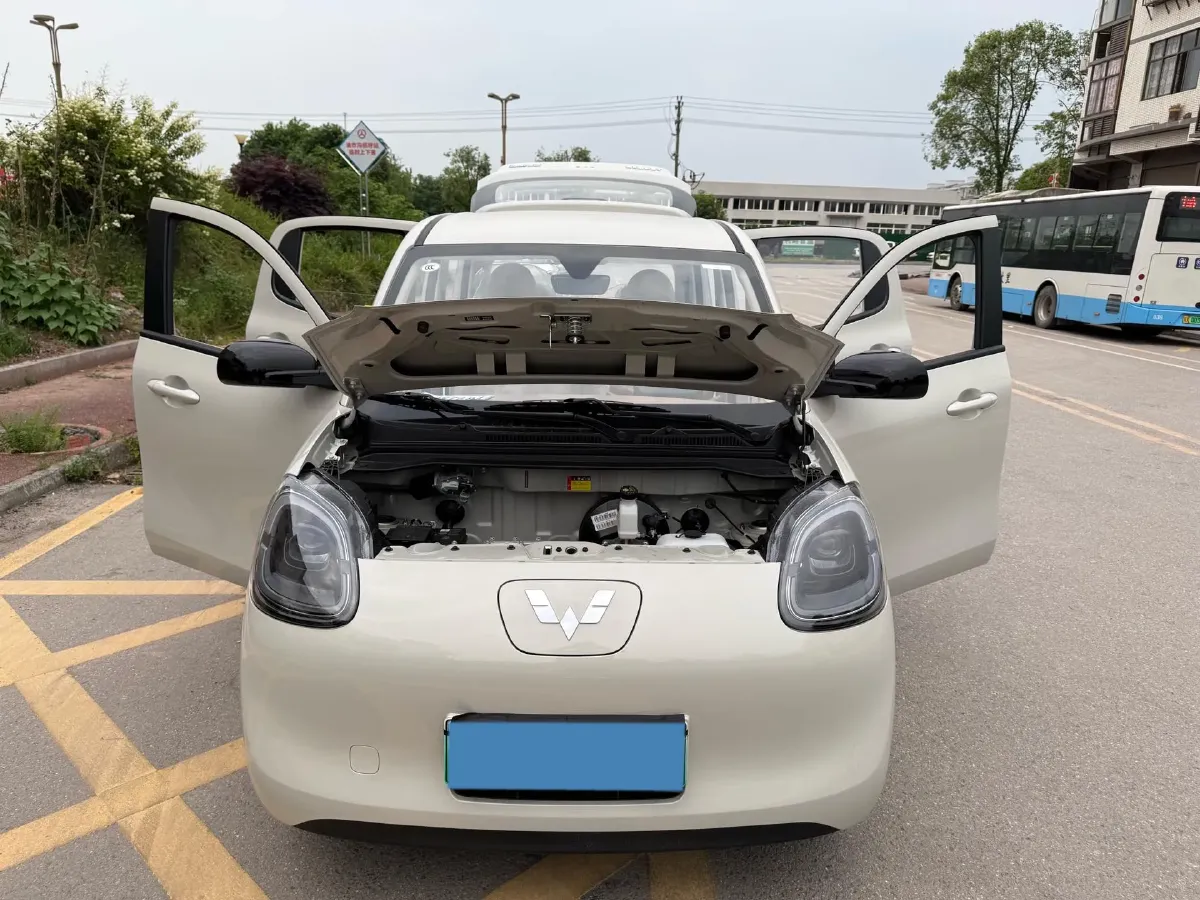 2025 WuLing HongGuang MINI EV BEV 16.2KWH,autocango,china used car exporter,china ev exporter,chinese used car exporter,chinese used ev exporter