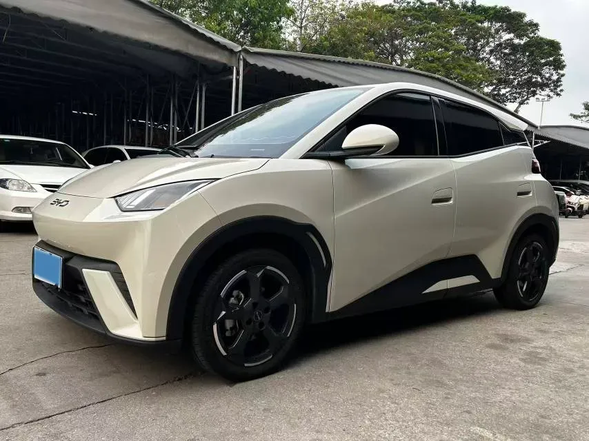 2024 BYD Seagull BEV 30.08KWH,autocango,china used car exporter,china ev exporter,chinese used car exporter,chinese used ev exporter