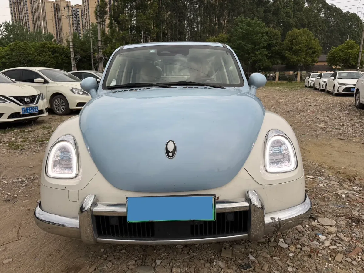 2022 Ora BalletCat BEV 49.92KWH,autocango,china used car exporter,china ev exporter,chinese used car exporter,chinese used ev exporter