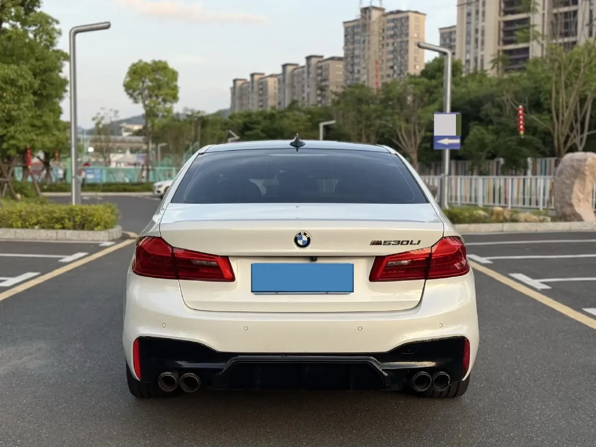 2020 BMW 5 Series 2.0T 252HP L4 8AT,autocango,china used car exporter,china ev exporter,chinese used car exporter,chinese used ev exporter