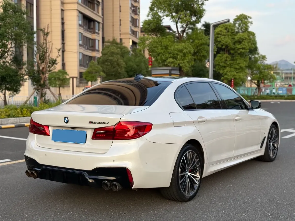 2020 BMW 5 Series 2.0T 252HP L4 8AT,autocango,china used car exporter,china ev exporter,chinese used car exporter,chinese used ev exporter