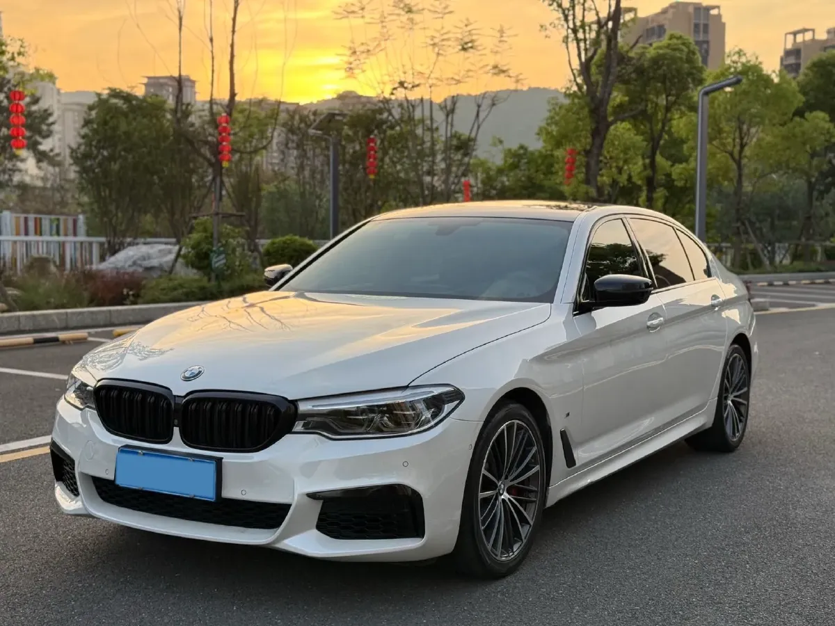 2020 BMW 5 Series 2.0T 252HP L4 8AT,autocango,china used car exporter,china ev exporter,chinese used car exporter,chinese used ev exporter