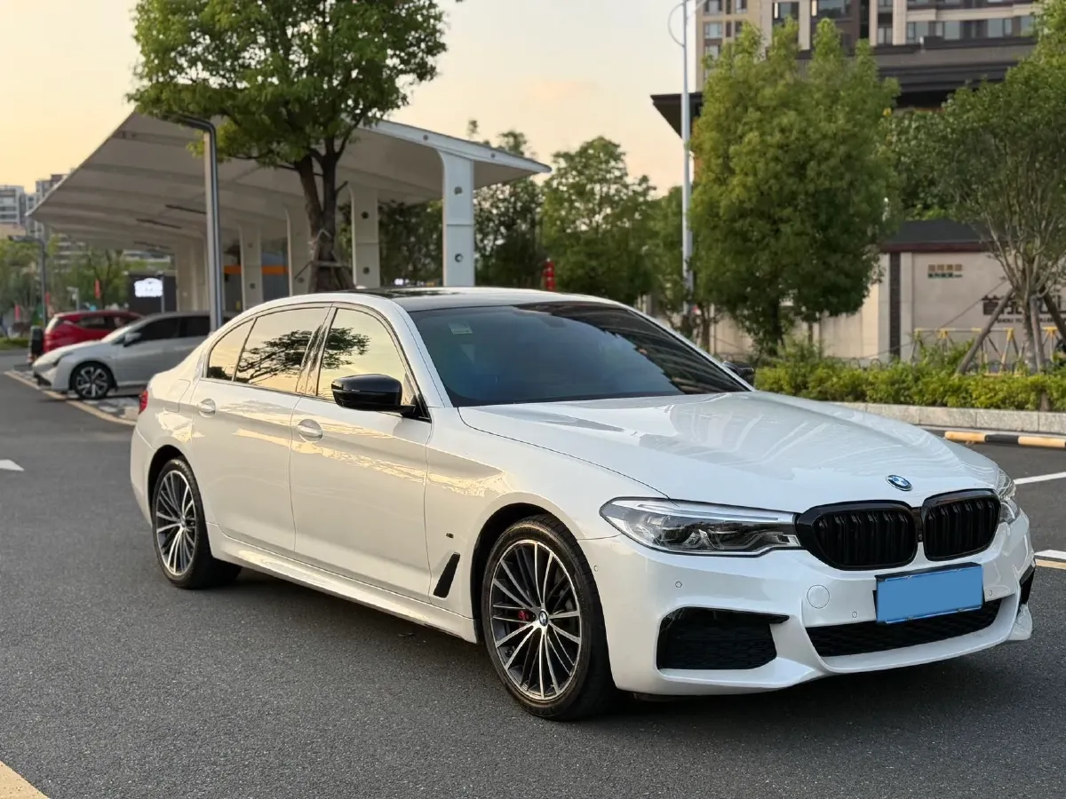 2020 BMW 5 Series 2.0T 252HP L4 8AT,autocango,china used car exporter,china ev exporter,chinese used car exporter,chinese used ev exporter