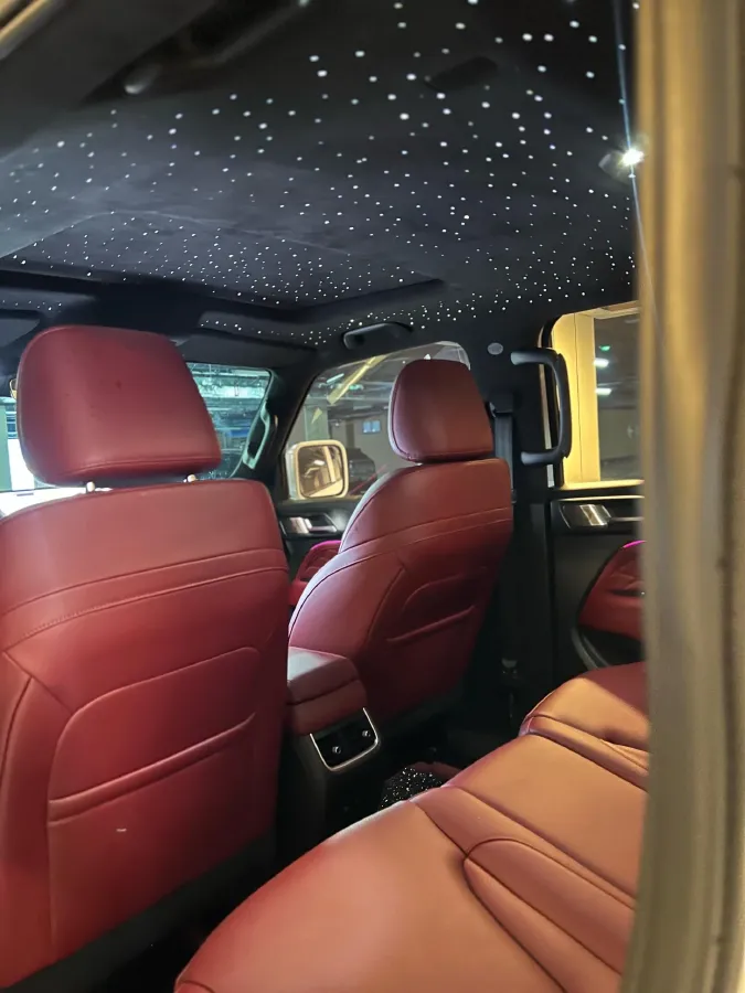 2025 Tank 300 2.0T 252HP L4 9AT PHEV,autocango,china used car exporter,china ev exporter,chinese used car exporter,chinese used ev exporter