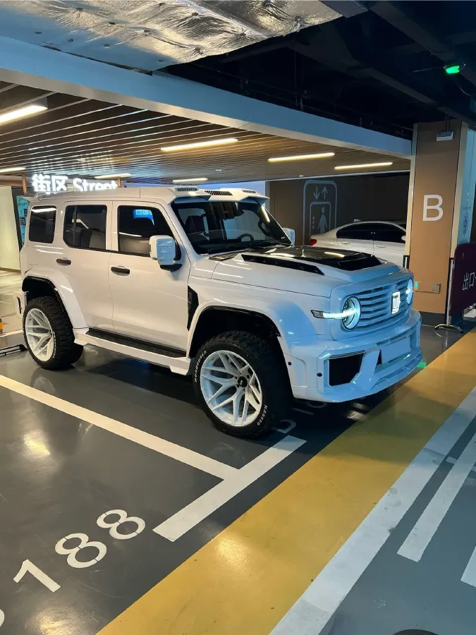 2025 Tank 300 2.0T 252HP L4 9AT PHEV,autocango,china used car exporter,china ev exporter,chinese used car exporter,chinese used ev exporter