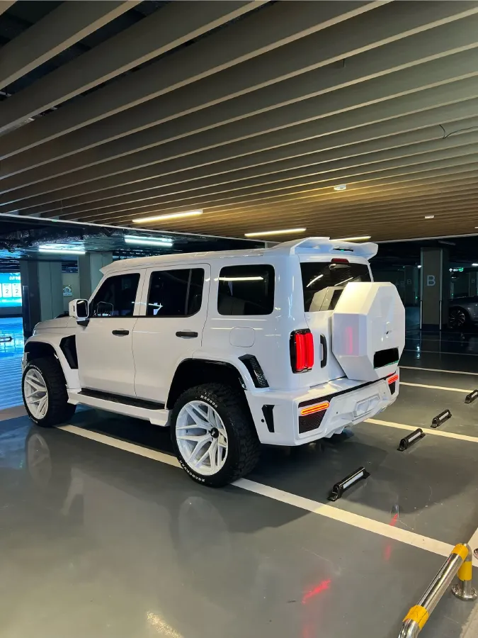 2025 Tank 300 2.0T 252HP L4 9AT PHEV,autocango,china used car exporter,china ev exporter,chinese used car exporter,chinese used ev exporter