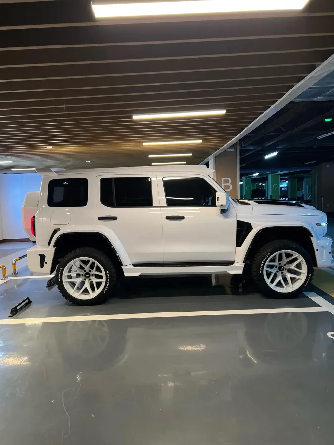 2025 Tank 300 2.0T 252HP L4 9AT PHEV,autocango,china used car exporter,china ev exporter,chinese used car exporter,chinese used ev exporter