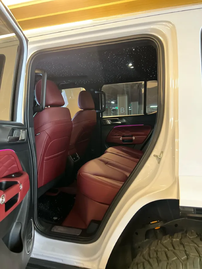 2025 Tank 300 2.0T 252HP L4 9AT PHEV,autocango,china used car exporter,china ev exporter,chinese used car exporter,chinese used ev exporter