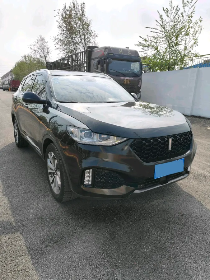 2018 WEY VV6 2.0T 197HP L4 7DCT,autocango,china used car exporter,china ev exporter,chinese used car exporter,chinese used ev exporter