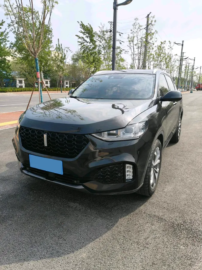 2018 WEY VV6 2.0T 197HP L4 7DCT,autocango,china used car exporter,china ev exporter,chinese used car exporter,chinese used ev exporter