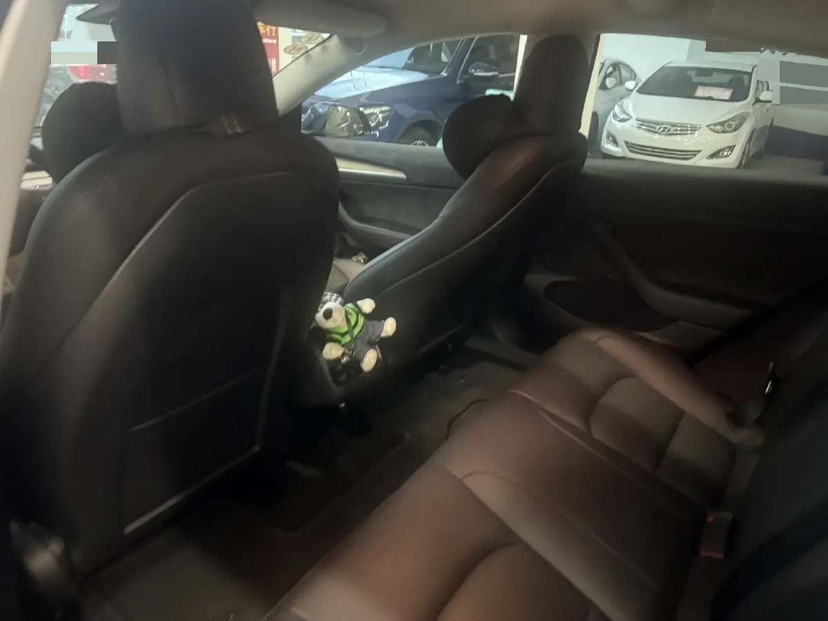 2021 Tesla Model 3 BEV 55KWH,autocango,china used car exporter,china ev exporter,chinese used car exporter,chinese used ev exporter